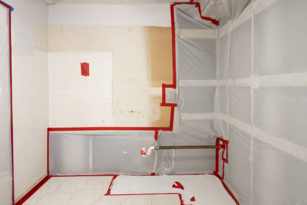 Best Black Mold Removal  in Newport, DE