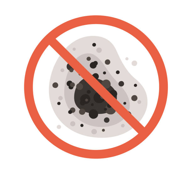 Best Mold Documentation for Insurance Claims  in Newport, DE
